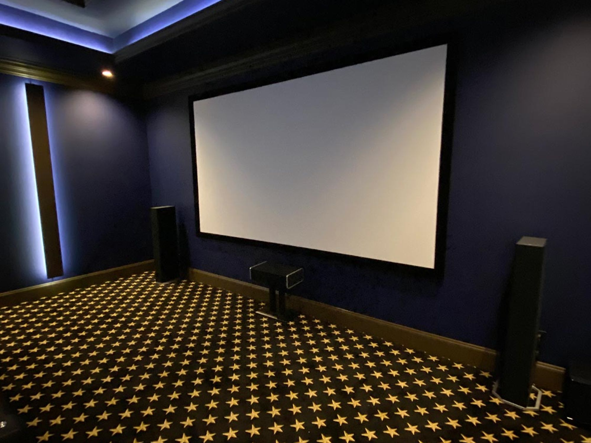 Home Theater Screen and LED Lighting